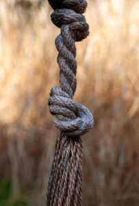 LINE日報のテンプレを使ったダイエット成功の秘訣は？