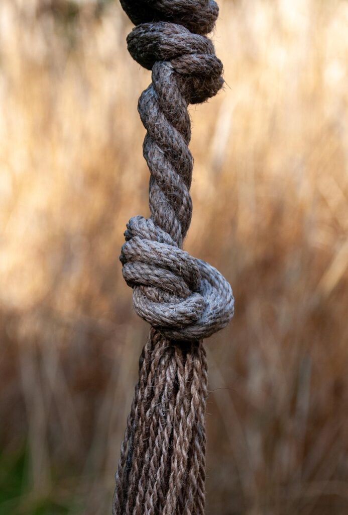 LINE日報のテンプレを使ったダイエット成功の秘訣は？