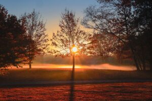 睡眠不足による代謝低下を改善するための相談先は？