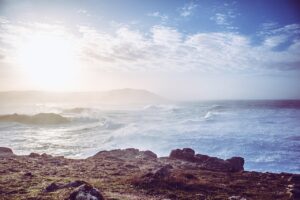 飲み会が多い社会人が実践できるダイエット方法は？