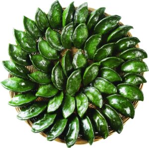 日報送信で伴走するコーチが提案するダイエット成功法とは？