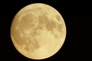 痩身ジムの初回体験が0円で受けられるプランは？