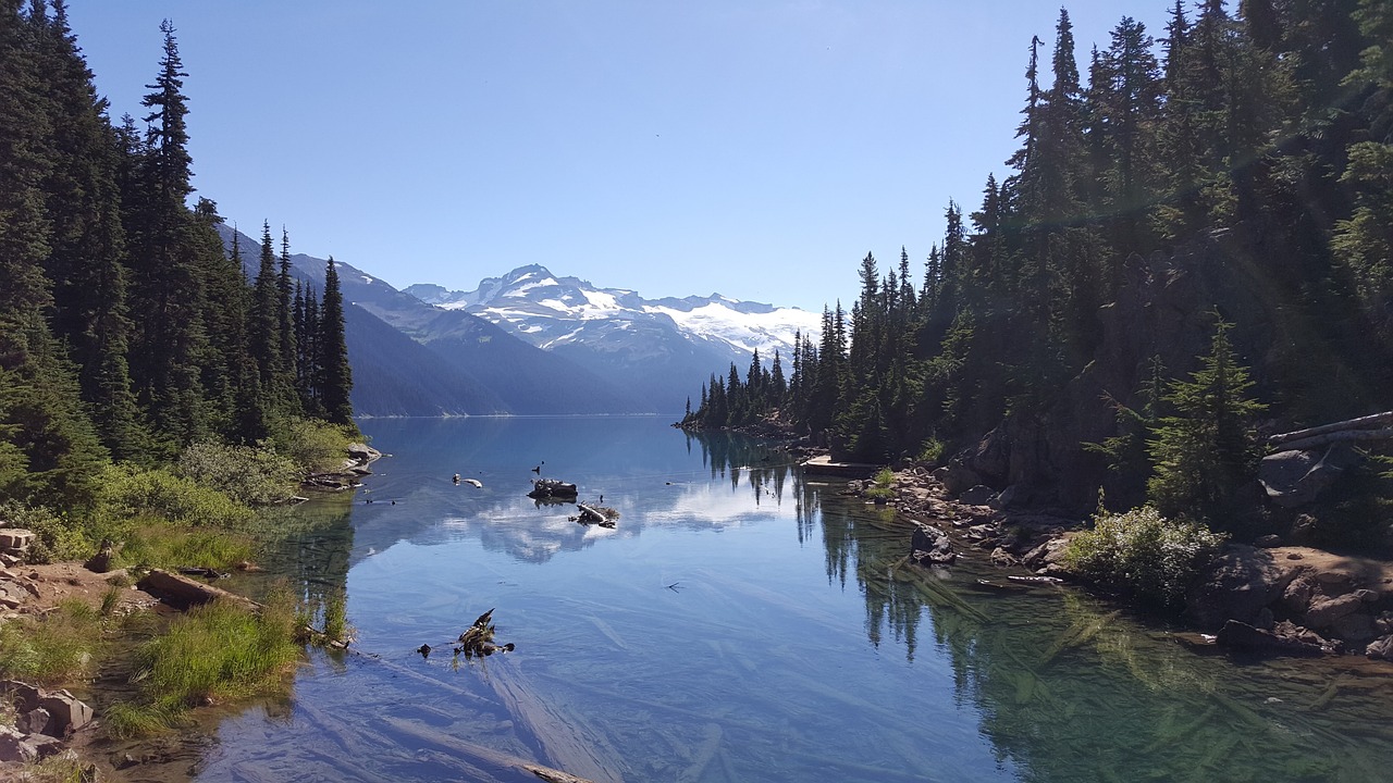痩身ジムでのリスタートプランの料金はどのくらい？