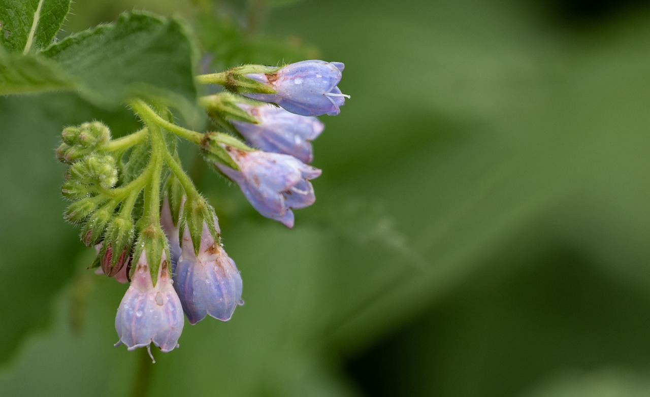 リバウンド対策に効果的なカウンセリングとは？