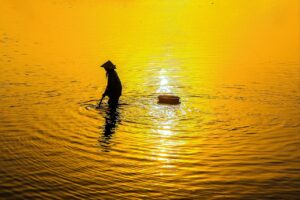 食べて痩せるプログラムの効果的な活用法は？