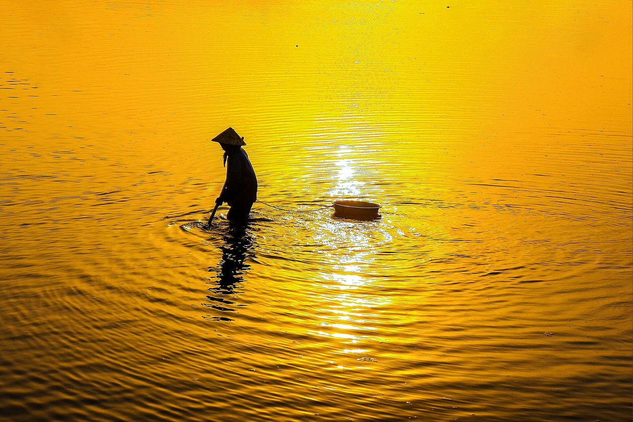 食べて痩せるプログラムの効果的な活用法は？