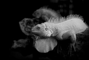 姿勢を改善して痩せるための効果的な方法は？