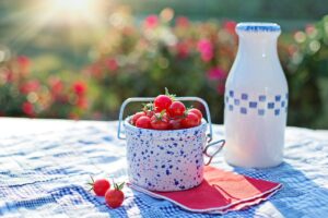 リバウンドしないダイエットに最適なジムはどれ？おすすめ比較を徹底解説！